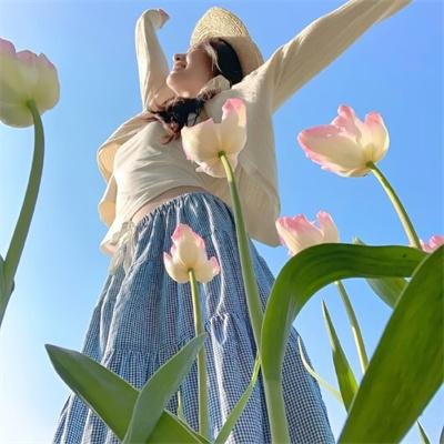 鲨人树儿